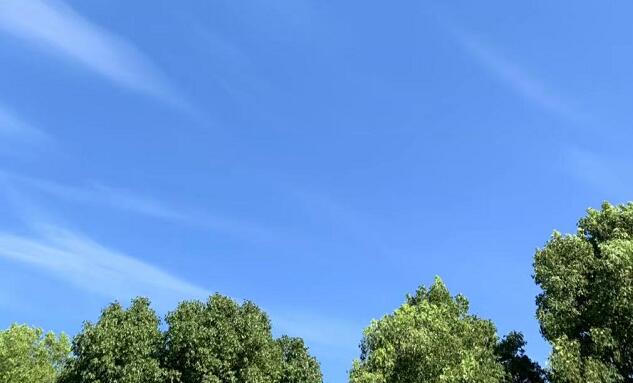 透明校服可乐操