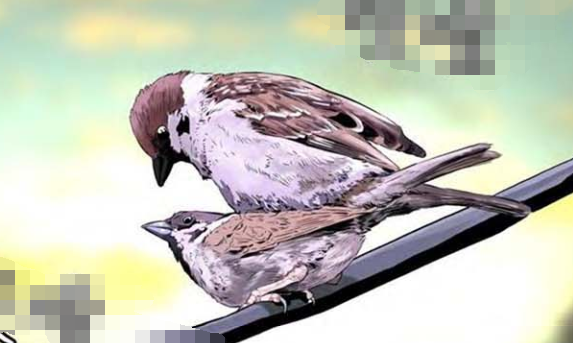 ������ԭ�ļ�����