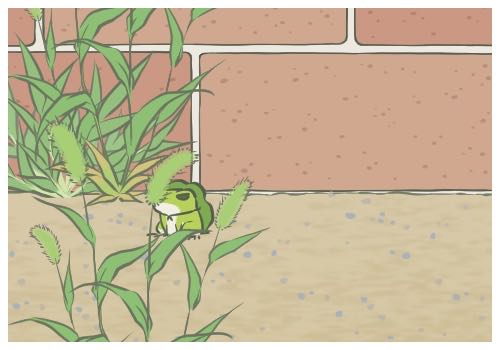 ����ʦ����ѧ����������