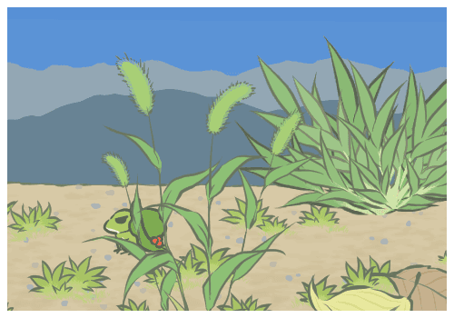 ����Ů����������Ư���ľ���