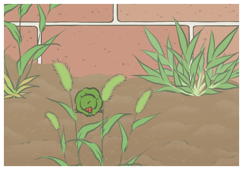 ��������һ��ľ���