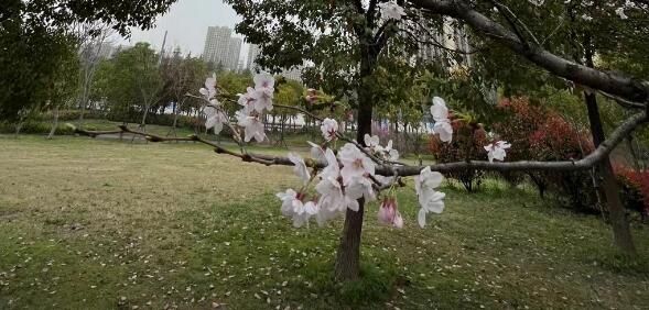 ��д�һ���ʫ��