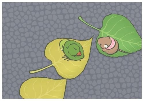 ���������������ľ���